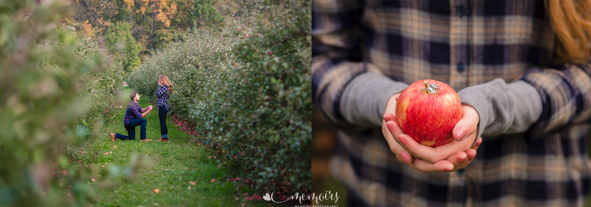 Apple Orchard Proposal Session