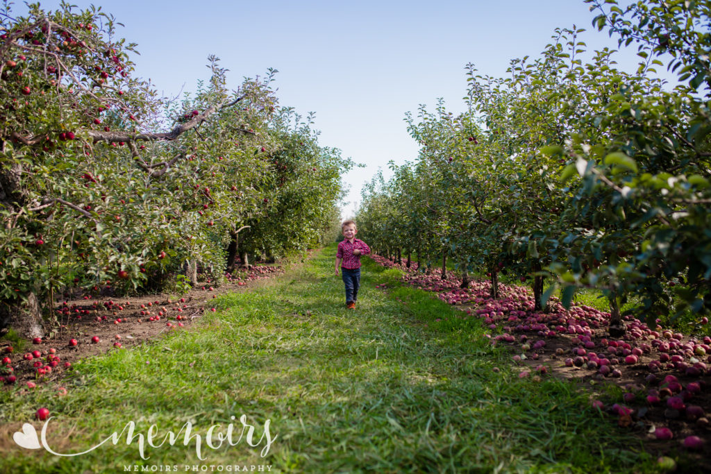 Michigan Apple Orchard Photo Session Memoirs Photography