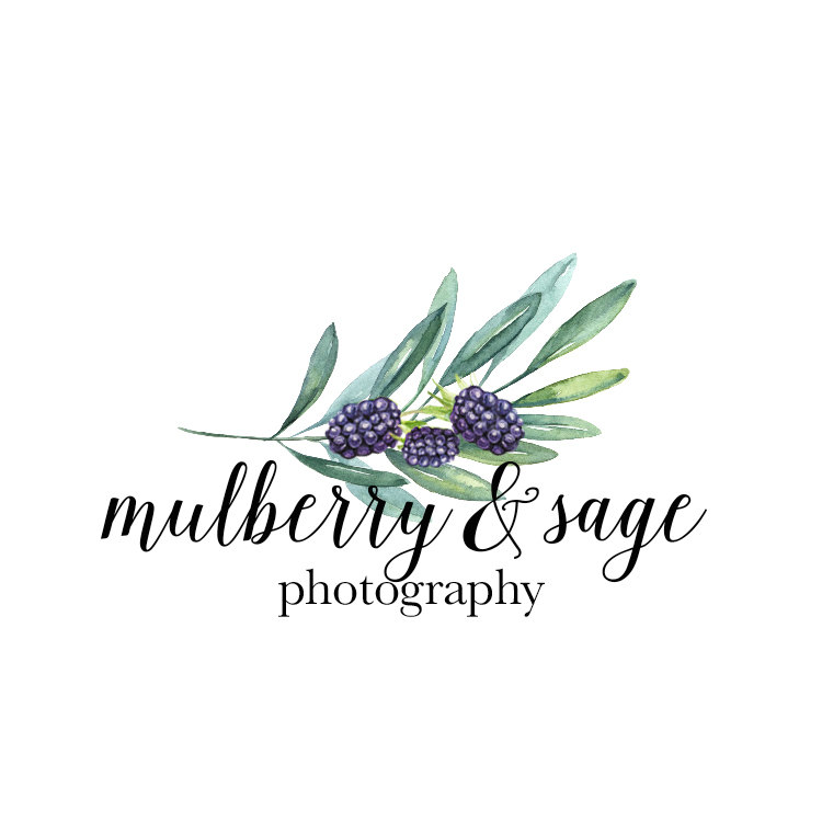 Exciting Port Huron Wedding Photographer Business Venture | Mulberry & Sage