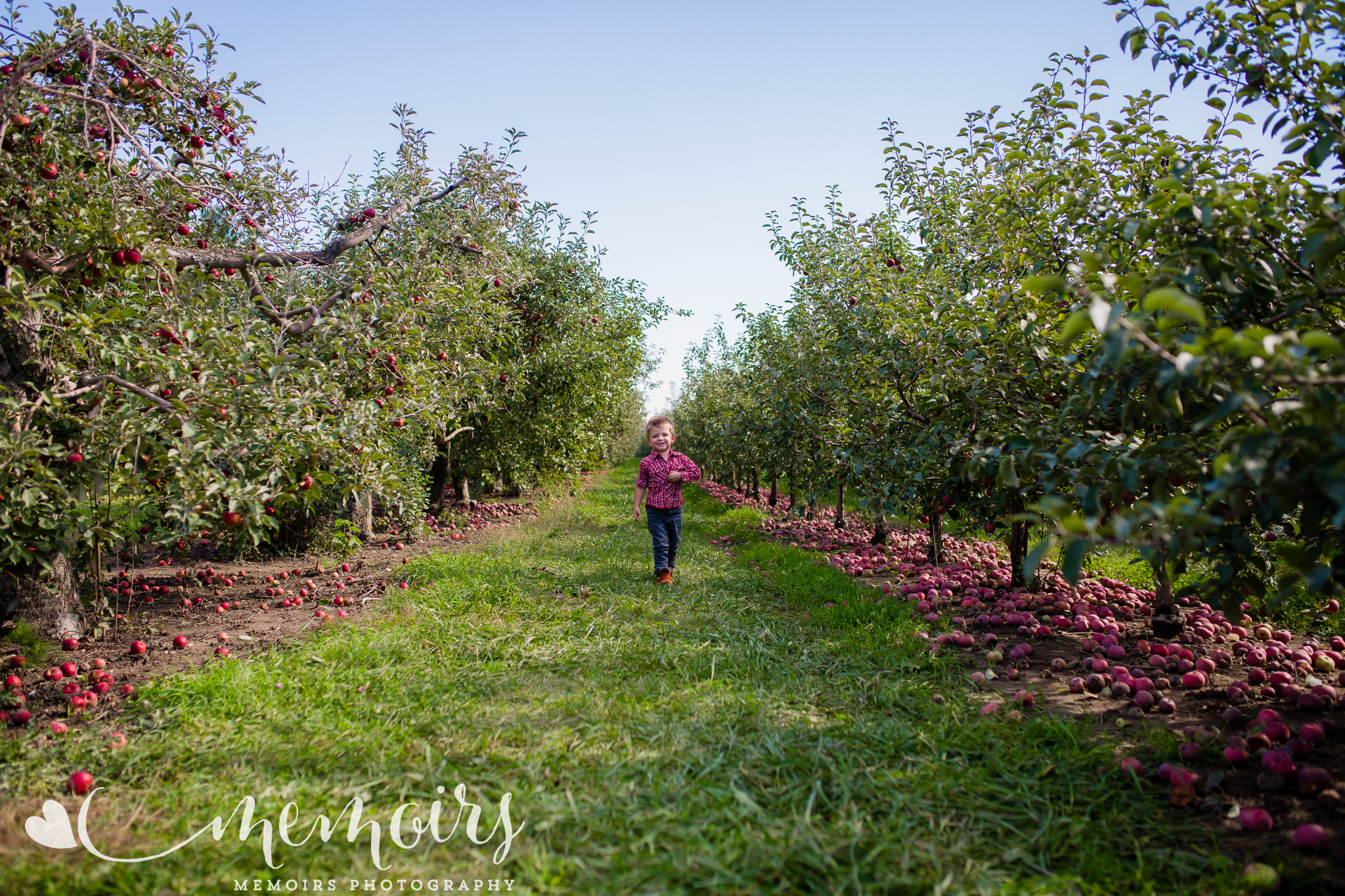 Michigan Apple Orchard Photo Session